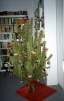 15.1.1999 Weihnachtsbaum